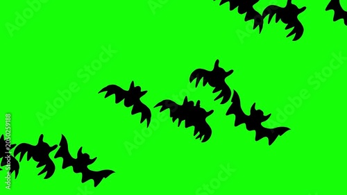 Flying Bat Swarm Loop Animation on Green Screen | Hand Drawn Cartoon Bats Flying Seamless Chroma Key Background, abstract bats animation motion graphics.