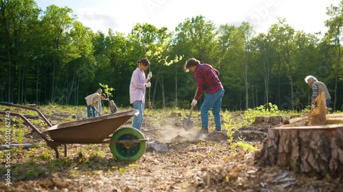 Female volunteer holding tree sapling while male member preparing ground for planting. Group restoring forest ecosystem on deforested land. Environmental conservation project outdoors.