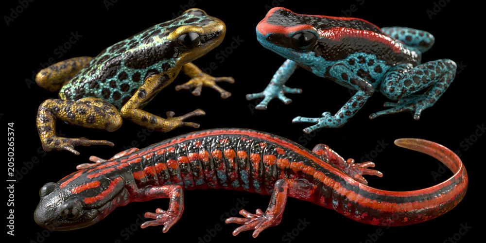 Fototapeta premium Exotic Vibrant Amphibian: Close-Up of Colorful Frog in Natural Habitat - Wildlife & Ecology in Rainforest Conservation Photography