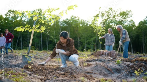 Asian woman planting tree sapling on reforestation site. Female volunteer kneeling and placing soil around young tree while community members restoring woodland after deforestation. Eco recovery.