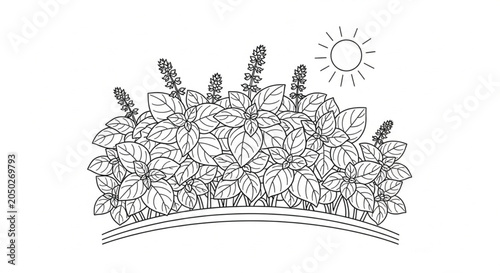 Cuadro en lienzo Black and white floral headband illustration.