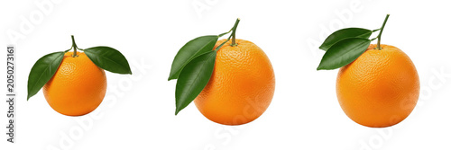 Fresh Whole Orange Fruit with Green Leaves Collection Isolated PNG Clipart, Sweet Juicy Citrus Mandarins Tangerines Pack, Organic Vitamin C Food Graphic Elements for Juice Packaging Design Transparent