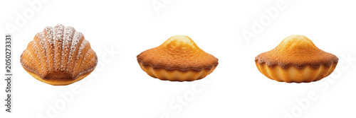 French Madeleine Cakes Collection with Powdered Sugar Isolated PNG Clipart, Traditional Shell Shaped Sponge Biscuits Pack, Gourmet Bakery Pastry Culinary Food Graphic Elements Commercial Design Transp