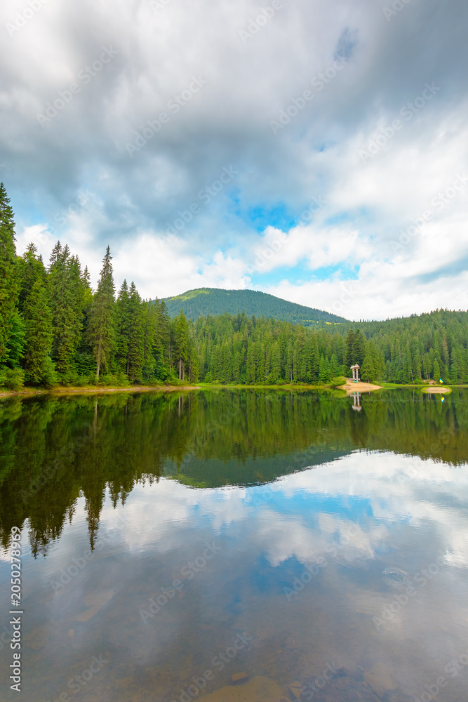 Fototapeta premium landscape by the lake on cloudy morning. coniferous forest near the lake and the forest mountain. awesome summer view of carpathian mountain reflection on synevr lake water surface. clean environment
