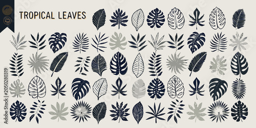 Foto Tropical Leaves Silhouette Collection Gray And Black Vector Illustration