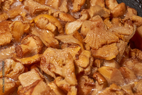 Boiled chanterelle mushrooms thawing in a frying pan with visible steam. Home cooking process for preparing mushroom filling for tartlets, pies, appetizers, and hot dishes.