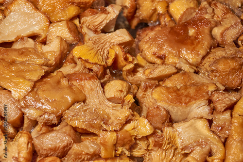 Boiled chanterelle mushrooms thawing in a frying pan with visible steam. Home cooking process for preparing mushroom filling for tartlets, pies, appetizers, and hot dishes.