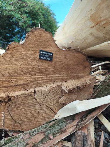 Marked Timber Log with Forestry Identification Tag