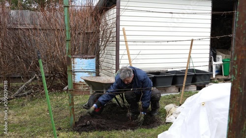 A gardener plants a bush in a garden bed in a park. A gardener plants a plant in a garden plot.