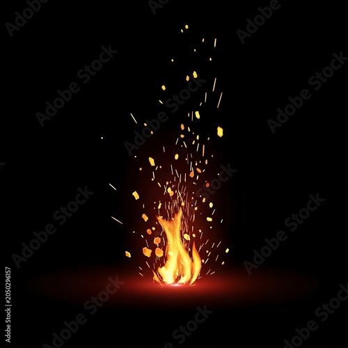 Vibrant Explosion Of Fireworks In Night Sky.