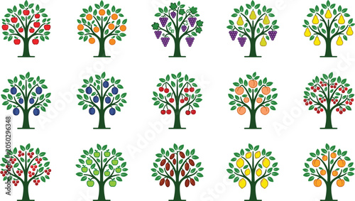 Foto Collection of various fruit trees icons set with different fruits