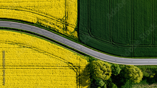 Aerial view of winding road through colorful green and yellow farmland fields
