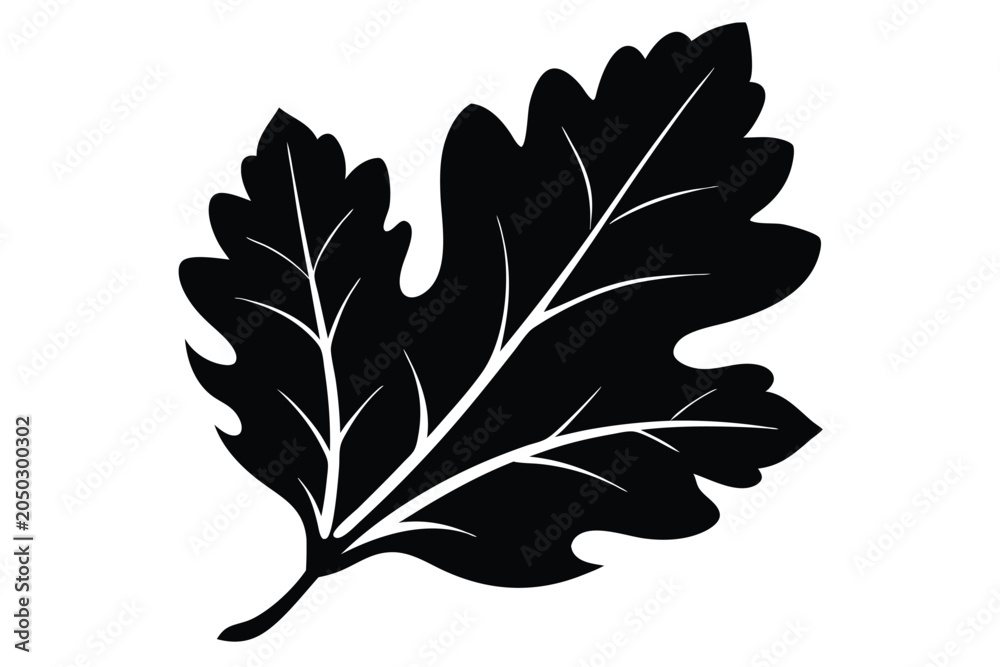 Fototapeta premium oak leaf silhouette line art vector illustration