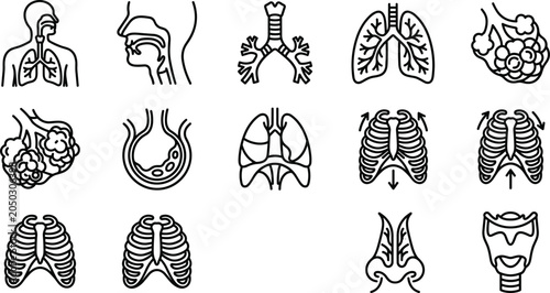 Foto Set of respiratory system icons illustrating human breathing anatomy and lung functions