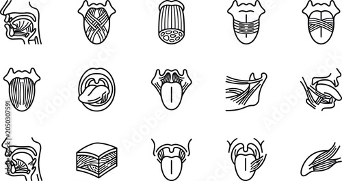 Human tongue anatomy line art icons collection showing muscle structures and mouth positions.