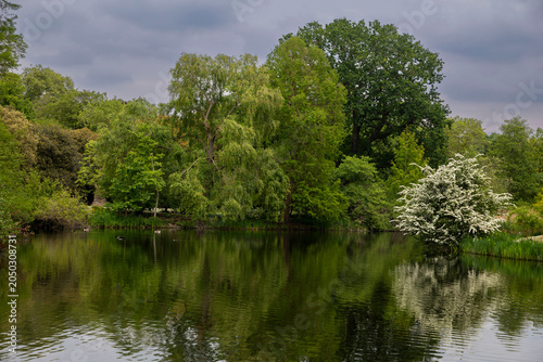 Scenic view of a calm lake reflecting lush green trees and a white blooming bush under a cloudy sky.