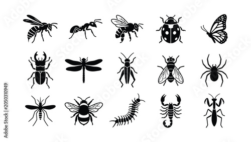 Photos Set of black insect icons featuring various bugs and spiders in a minimalist silhouette style