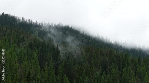 Aerial of low clouds over pine trees in Lolo National forest in Taft Montana in spring