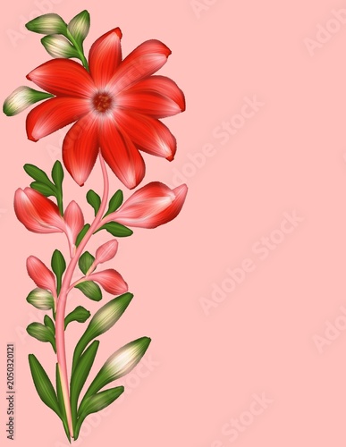 bouquet of red flowers