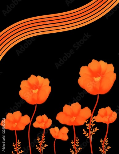 Orange poppy flowers background