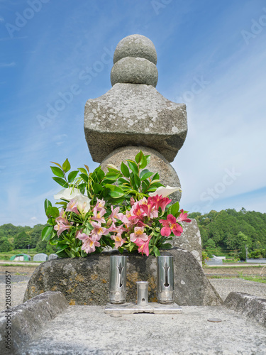 時を越えて紡ぐ祈り、明日香村の歴史浪漫