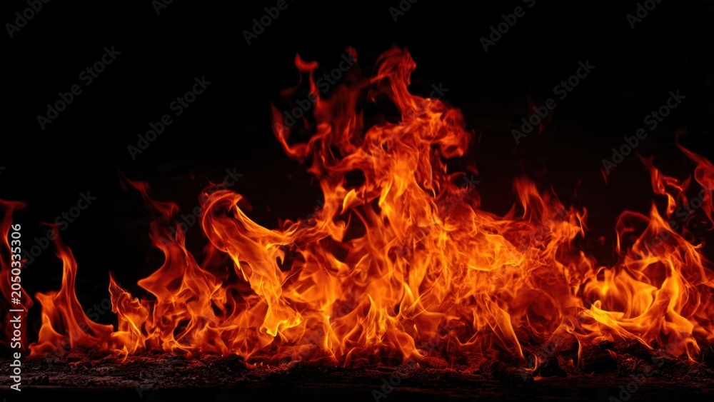 Fototapeta premium Intense Flames Burning Against Dark Background