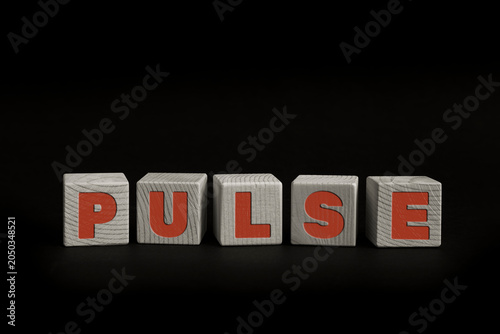 Word PULSE written with wooden cubes. Studio shot of some arranged wooden blocks with a textual message.