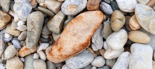 Photos Precious jade-colored river pebbles resting on wet sand, providing a luxurious e