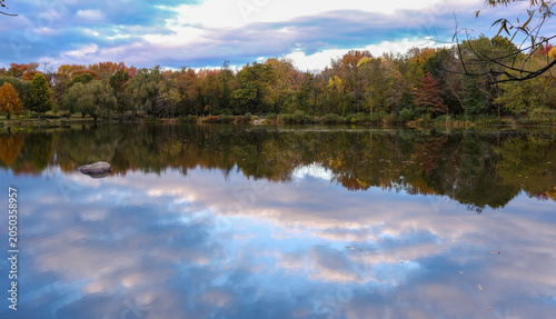 Bellevue Pond in Delaware during the final fall colors with autumn leaves all around a tree