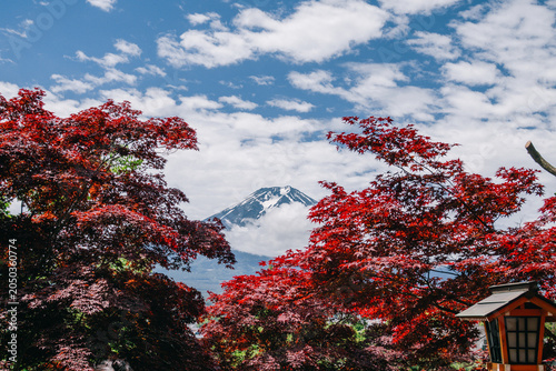 Принти на полотні Scenic View of Mount Fuji Surrounded by Colorful Japanese Maple Trees and Clouds