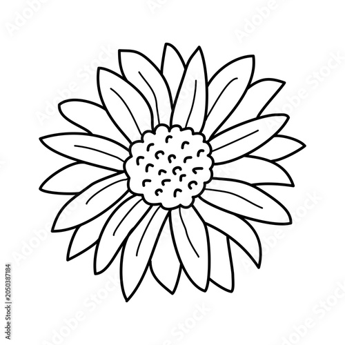 Sunflower Icon Vector Illustration