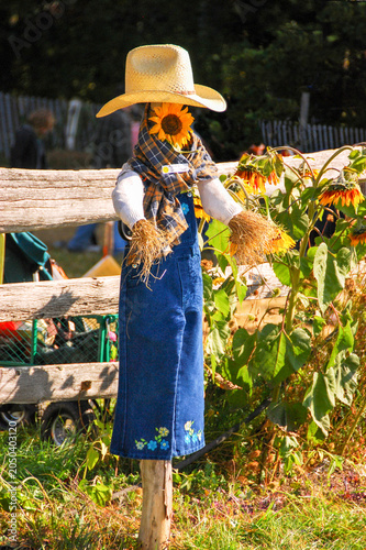 Foto Colorful winsome scarecrow against rail fence and flowers in full autumn sunshin