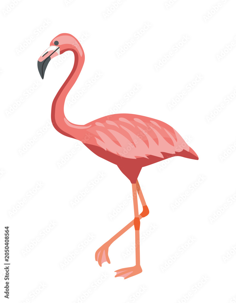 Obraz premium A pink flamingo bird in flat style on a white background, conveying themes of wildlife, grace and tropical beauty. Vector illustration