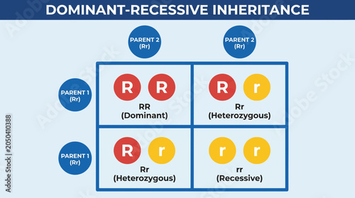 Tablou pe pânză Punnett Square Dominant Recessive Inheritance