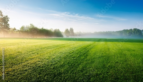 Beautiful Summer Natural Landscape With Lawn With Cut Fresh Grass In Early Morning With Light Fog Panoramic Spring Background