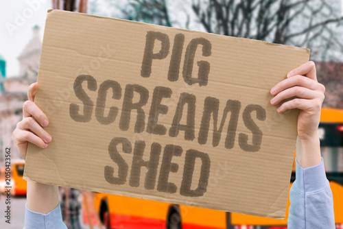 Bild auf Leinwand "Pig screams shed" Animal distress hidden from consumer