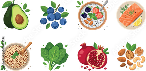 Healthy superfood vector illustration set with avocado blueberries chia pudding salmon spinach pomegranate and mixed nuts for nutrition