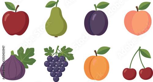 Simple fruit icon set vector illustration with apple pear plum peach fig grapes apricot and cherries flat style