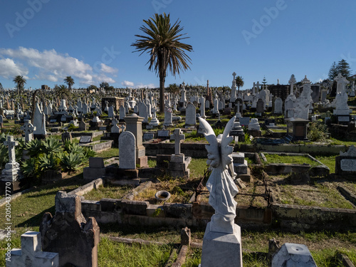 Waverley Cemetery is an old cemetery built by the sea in Sydney, Australia