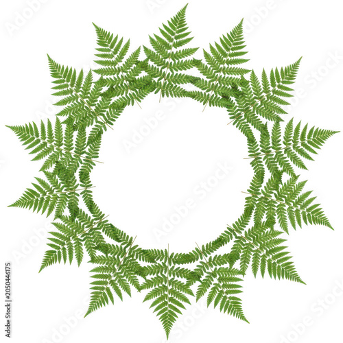 Elegant fern leaf wreath design with delicate green foliage