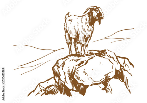 Bild auf Leinwand Lively Farm Life: Hand-Drawn Boer Goat Sketch Collection from Portraits to Herdi