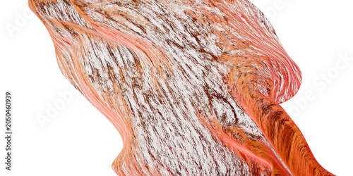 3D abstract textured ribbon fragment with flowing organic surface on transparent background, dynamic modern design
