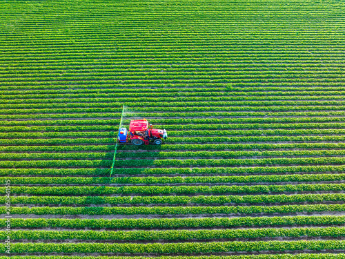 Farmers are using tractors to spray pesticides on peanuts.