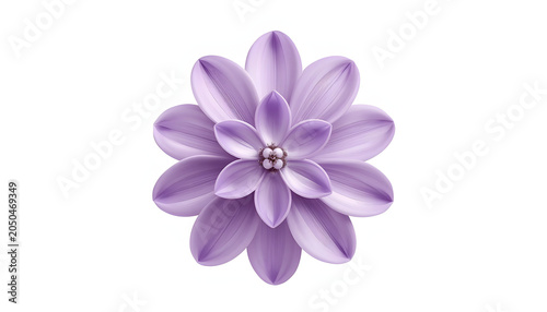 Lavender purple stylized dahlia flower, 3D rendered graphic element isolated on white background.