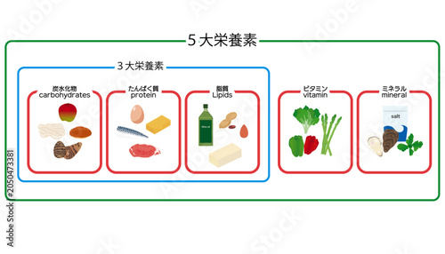 3大栄養素・５大栄養素のイラストセット