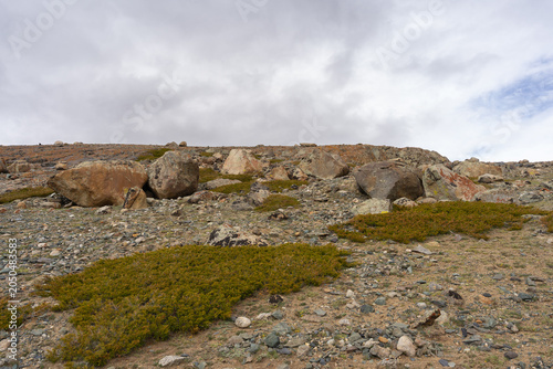 Rocky Alpine Tundra with Granite Boulders, Lichen and Low Shrubs on Highland Plateau, Mongolian Altai