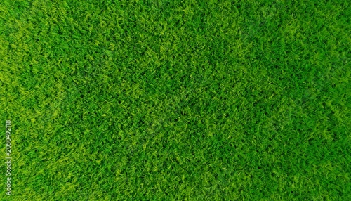 Foto Fresh Green Grass Texture Background – Natural Lawn Surface Close Up