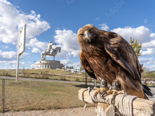 Golden Eagle Perched on Post with Genghis Khan Equestrian Statue in Background, Tsonjin Boldog, Mongolia