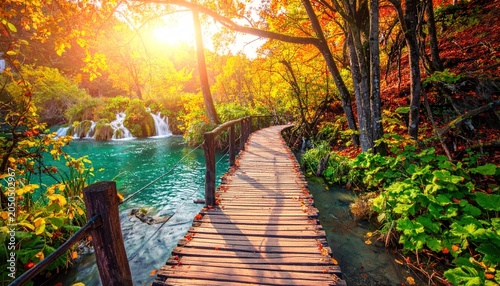 Popular touristic wooden bridge in the colorful autumn deep forest. Wooden promenade with clean brook and spectacular waterfalls, Plitvice National Park, Croatia, Europe