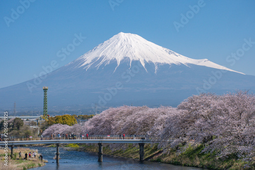 mt fuji in japan